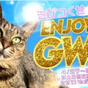 ヒメ日記 2026/04/30 10:00 投稿 あい sweet kiss