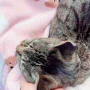 ヒメ日記 2026/05/01 04:19 投稿 あい sweet kiss