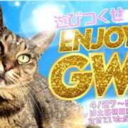 ヒメ日記 2026/05/01 10:19 投稿 あい sweet kiss