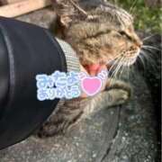 ヒメ日記 2026/05/04 04:09 投稿 あい sweet kiss
