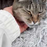 ヒメ日記 2026/05/06 12:25 投稿 あい sweet kiss