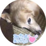 ヒメ日記 2026/05/11 09:19 投稿 あい sweet kiss
