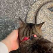 ヒメ日記 2026/05/11 16:41 投稿 あい sweet kiss