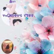 ヒメ日記 2026/05/12 09:19 投稿 あい sweet kiss
