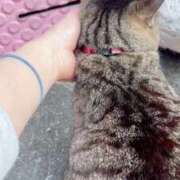 あい 久しぶりの　とらちゃん sweet kiss