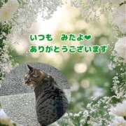 ヒメ日記 2026/05/31 16:39 投稿 あい sweet kiss