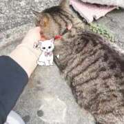 ヒメ日記 2026/06/01 14:59 投稿 あい sweet kiss