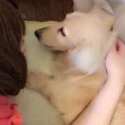 ヒメ日記 2026/06/20 09:39 投稿 あい sweet kiss