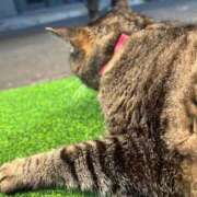 ヒメ日記 2026/07/12 09:20 投稿 あい sweet kiss
