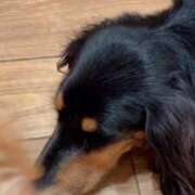 ヒメ日記 2026/07/14 22:19 投稿 あい sweet kiss