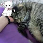 ヒメ日記 2026/07/31 11:09 投稿 あい sweet kiss