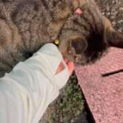 ヒメ日記 2026/08/10 23:50 投稿 あい sweet kiss