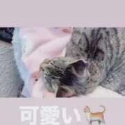 ヒメ日記 2026/08/13 09:39 投稿 あい sweet kiss
