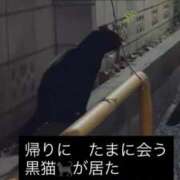 ヒメ日記 2026/08/22 09:29 投稿 あい sweet kiss