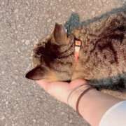ヒメ日記 2026/09/02 21:53 投稿 あい sweet kiss