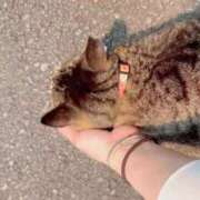 ヒメ日記 2026/09/02 22:09 投稿 あい sweet kiss