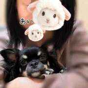 ヒメ日記 2026/09/03 07:58 投稿 あい sweet kiss