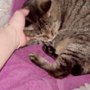 ヒメ日記 2026/09/09 21:27 投稿 あい sweet kiss