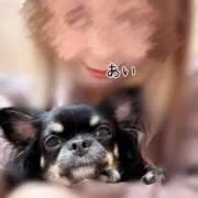 ヒメ日記 2026/09/13 22:31 投稿 あい sweet kiss