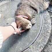 ヒメ日記 2026/09/14 09:19 投稿 あい sweet kiss