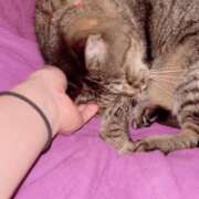 ヒメ日記 2026/09/14 23:58 投稿 あい sweet kiss