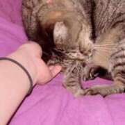 ヒメ日記 2026/09/15 00:11 投稿 あい sweet kiss