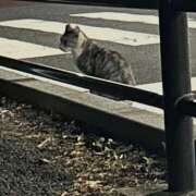 ヒメ日記 2026/10/05 09:19 投稿 あい sweet kiss