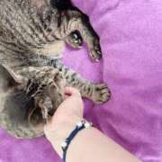 ヒメ日記 2026/10/11 09:31 投稿 あい sweet kiss