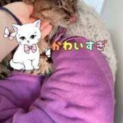 ヒメ日記 2026/10/11 23:49 投稿 あい sweet kiss