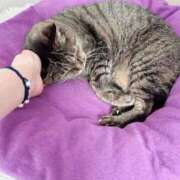 ヒメ日記 2026/10/12 08:56 投稿 あい sweet kiss