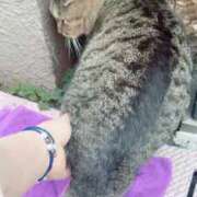 ヒメ日記 2026/10/12 12:33 投稿 あい sweet kiss