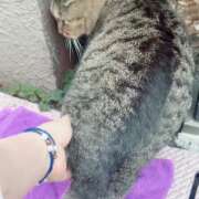 ヒメ日記 2026/10/12 20:54 投稿 あい sweet kiss