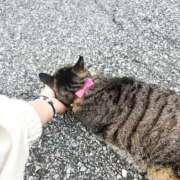 ヒメ日記 2026/10/13 09:29 投稿 あい sweet kiss