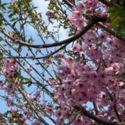 ヒメ日記 2026/04/08 22:57 投稿 沖田　溯 セレブショップ新宿（東京ハレ系）