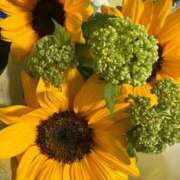 ヒメ日記 2025/05/05 19:25 投稿 はずき すぐ舐めたくて学園立川校〜舐めたくてグループ〜