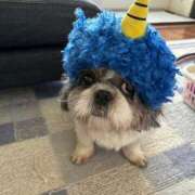 ヒメ日記 2025/01/04 18:57 投稿 りょうこ 藤沢人妻城