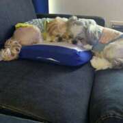 ヒメ日記 2025/01/09 18:48 投稿 りょうこ 藤沢人妻城