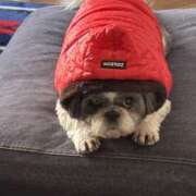 ヒメ日記 2025/04/16 20:29 投稿 りょうこ 藤沢人妻城