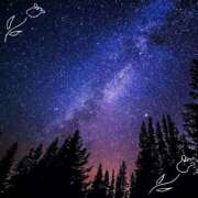 ヒメ日記 2025/12/10 19:30 投稿 りょうこ 藤沢人妻城