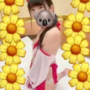 ヒメ日記 2025/11/03 15:03 投稿 あみ 秋葉原コスプレ学園(AKG)