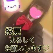 ヒメ日記 2025/11/23 10:29 投稿 あみ 秋葉原コスプレ学園(AKG)