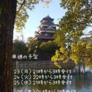 ヒメ日記 2024/09/22 13:28 投稿 賀川 りょう 30代40代50代と遊ぶなら博多人妻専科24時