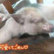 ヒメ日記 2025/01/19 15:47 投稿 賀川 りょう 30代40代50代と遊ぶなら博多人妻専科24時