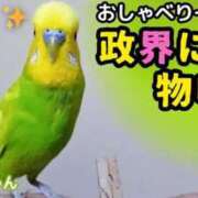 ヒメ日記 2025/01/27 13:15 投稿 賀川 りょう 30代40代50代と遊ぶなら博多人妻専科24時