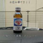 ヒメ日記 2025/03/19 13:45 投稿 賀川 りょう 30代40代50代と遊ぶなら博多人妻専科24時