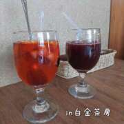 ヒメ日記 2025/03/23 13:45 投稿 賀川 りょう 30代40代50代と遊ぶなら博多人妻専科24時