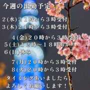 ヒメ日記 2025/04/01 23:31 投稿 賀川 りょう 30代40代50代と遊ぶなら博多人妻専科24時