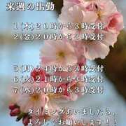 ヒメ日記 2025/04/26 18:33 投稿 賀川 りょう 30代40代50代と遊ぶなら博多人妻専科24時