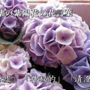 ヒメ日記 2025/05/12 16:06 投稿 賀川 りょう 30代40代50代と遊ぶなら博多人妻専科24時