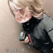 ヒメ日記 2025/09/23 08:47 投稿 賀川 りょう 30代40代50代と遊ぶなら博多人妻専科24時